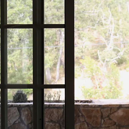 The Birds House Δωμάτια σε οικογενειακή κατοικία